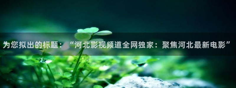 西瓜电影解说