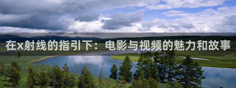西瓜论理电影网