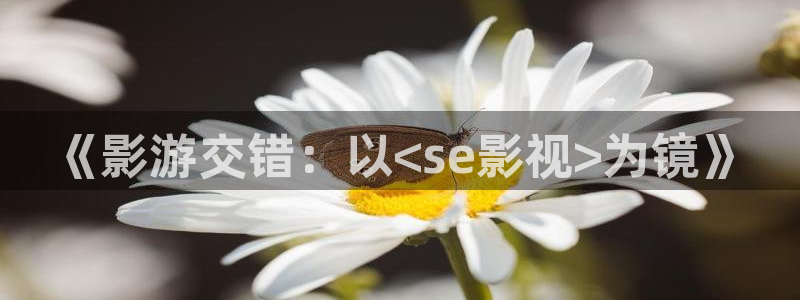 西瓜影院在线播放免费