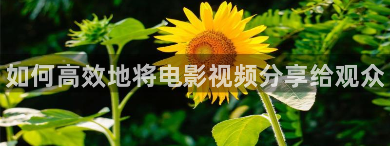 西瓜影院伦理