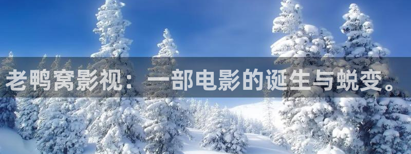 西瓜音影天狼影院