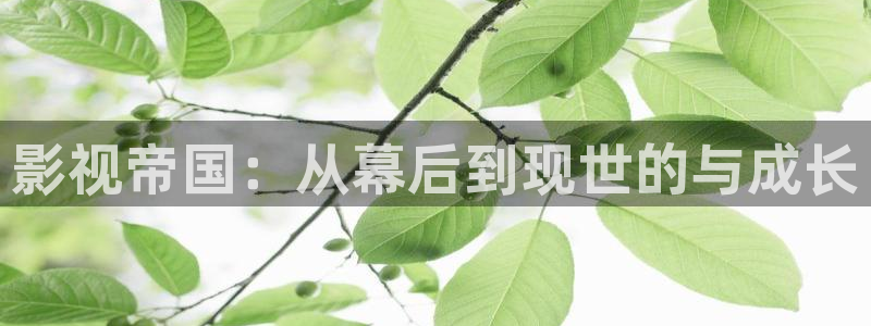 西瓜影视看电视剧