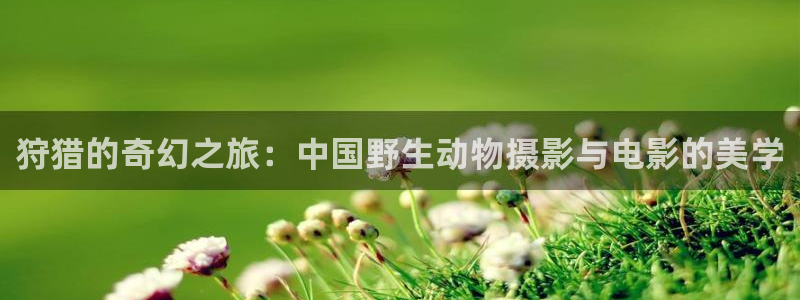 西瓜福利影院