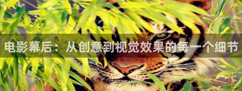 星汉灿烂电视剧免费看西瓜影院