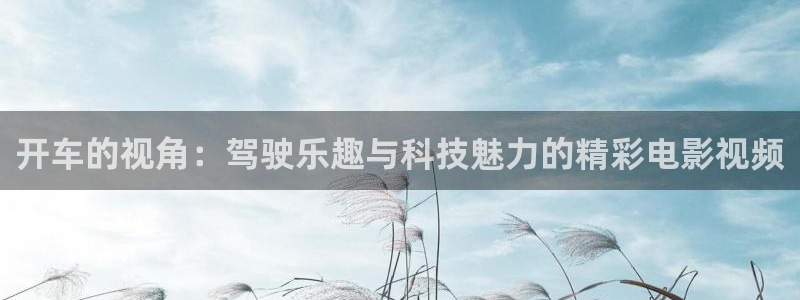 双面胶电视免费观看西瓜