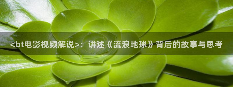 西瓜的图片