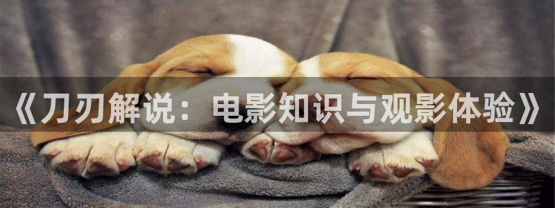 驻站电视剧全集免费观看西瓜影院