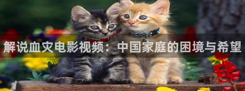 西瓜影院在线观看免费高清电视剧