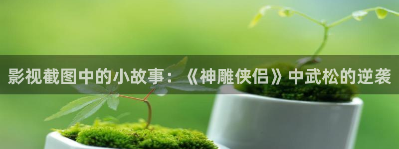 亲爱的生命全集免费观看西瓜