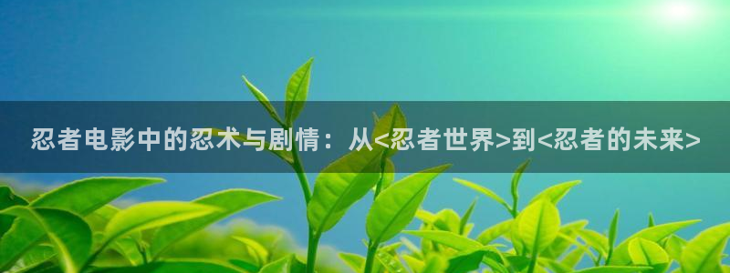 西瓜西瓜西瓜西瓜：忍者电影中的忍术与剧情：从<忍者世界>到<忍者的未来>