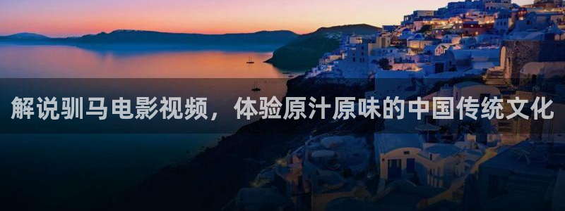 谁说我结不了婚免费观看西瓜：解说驯马电影视频，体验原汁原味的中国传统文化
