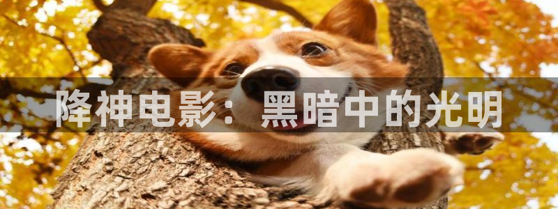 嘉兴西瓜：降神电影：黑暗中的光明