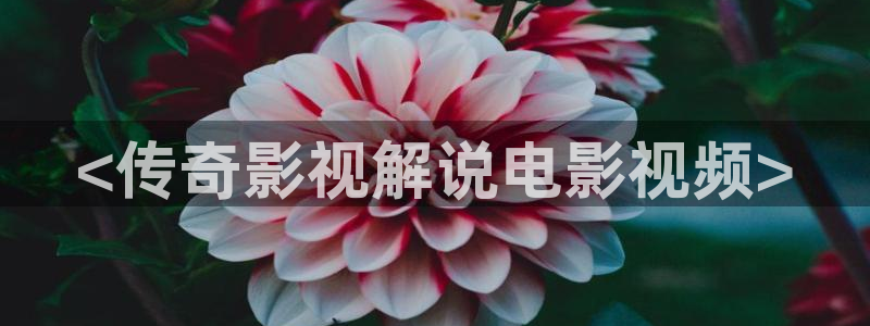 西瓜午夜电影网：<传奇影视解说电影视频>