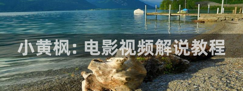 西瓜网影院：小黄枫: 电影视频解说教程