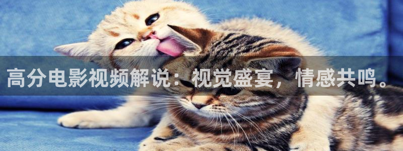 免费看西瓜视频：高分电影视频解说：视觉盛宴，情感共鸣。