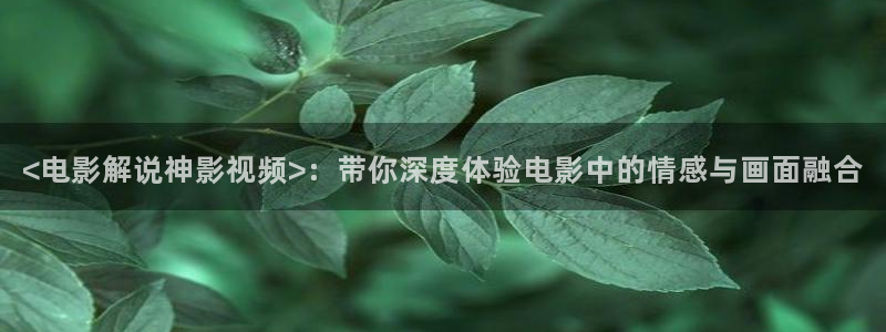官方免费下载西瓜视频