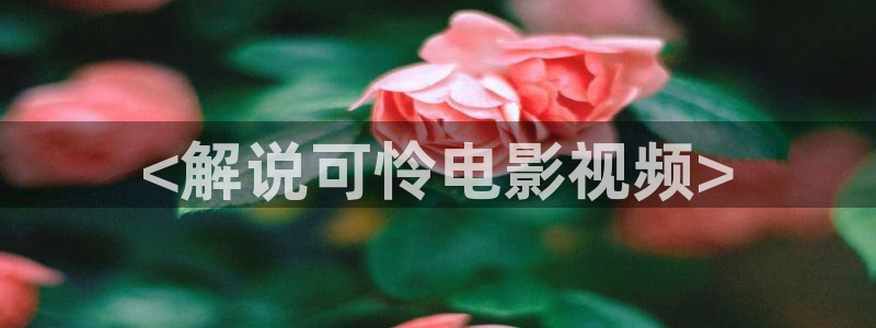 黄金瞳免费观看全集完整版西瓜：<解说可怜电影视频>