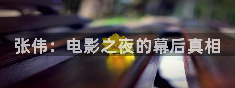 西瓜在线电视剧观看：张伟：电影之夜的幕后真相