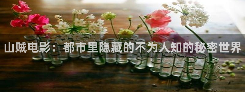 飘雪影视粤语观看西瓜：山贼电影：都市里隐藏的不为人知的秘密世界
