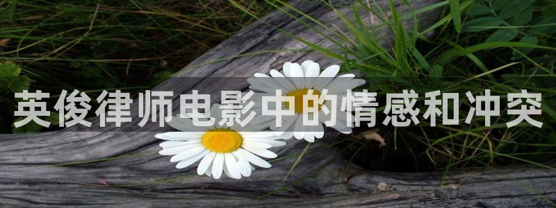 西瓜影院理伦片：英俊律师电影中的情感和冲突