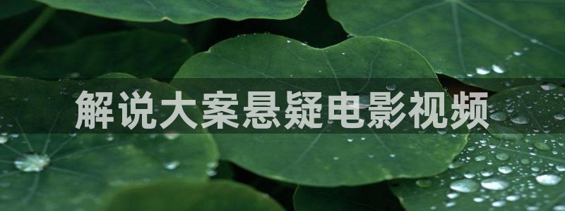 西瓜电影院：解说大案悬疑电影视频