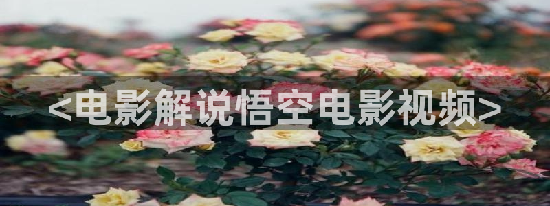 app西瓜影院：<电影解说悟空电影视频>