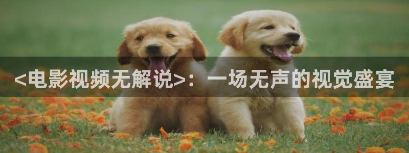 十年爱西瓜影院：<电影视频无解说>：一场无声的视觉盛宴