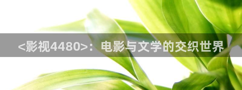 西瓜影院电影伦理：<影视4480>：电影与文学的交织世界