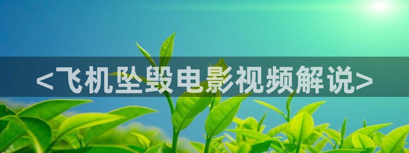 西瓜电影免费观看全部完整版高清