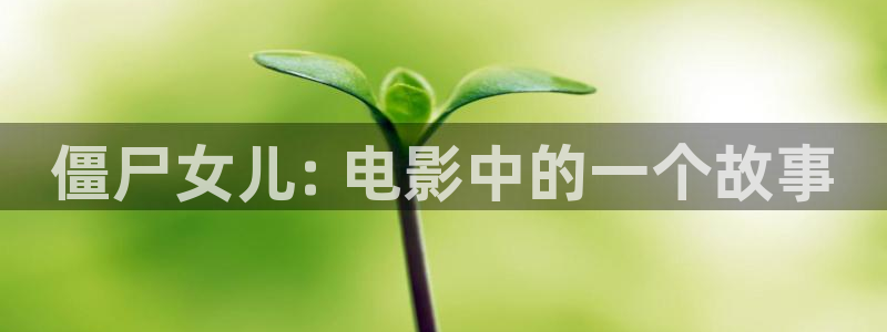 西瓜免费观看在线