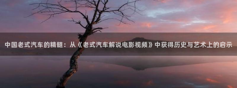 西瓜影院555