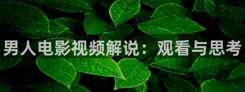 我喜欢你免费观看全集西瓜