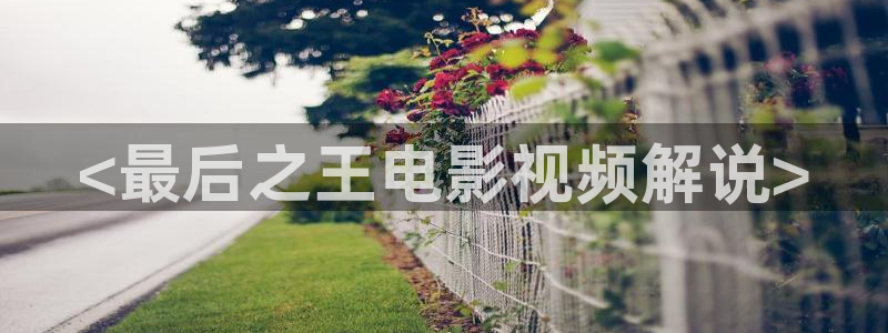 你比星光美丽免费观看西瓜