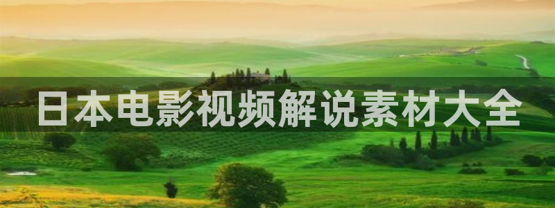 披荆斩棘的哥哥在线观看免费版西瓜