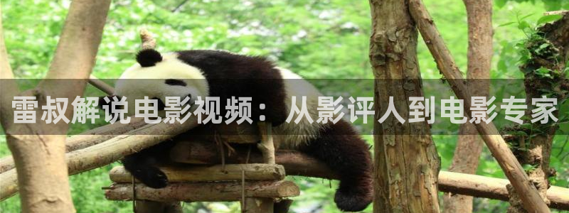 韩国电影夹西瓜