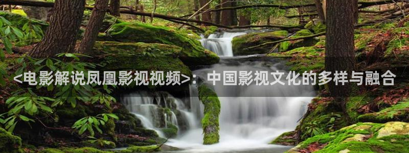 西瓜视频看西瓜视频
