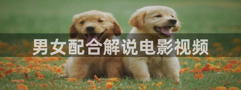 都挺好1至46集全集免费观看西瓜