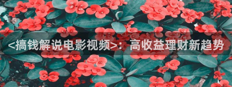 少帅电视剧全集西瓜