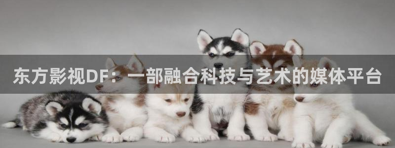 似锦免费观看西瓜影院