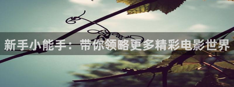 w两个世界免费观看西瓜