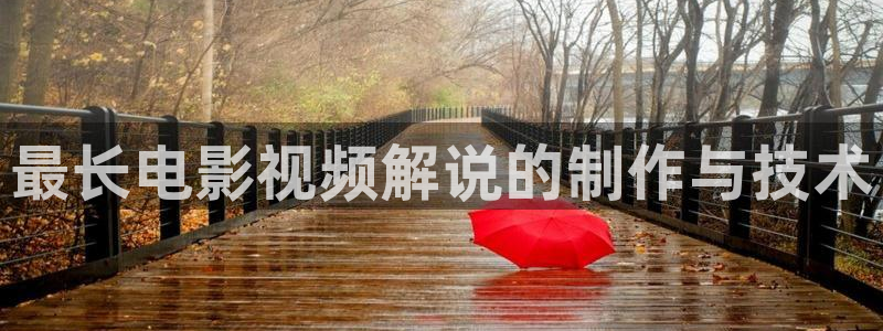 红娘子电视剧西瓜影院