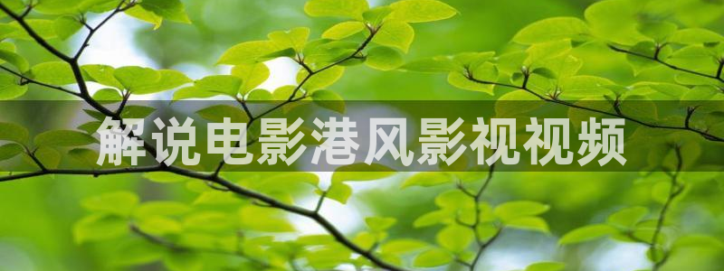 成都 西瓜