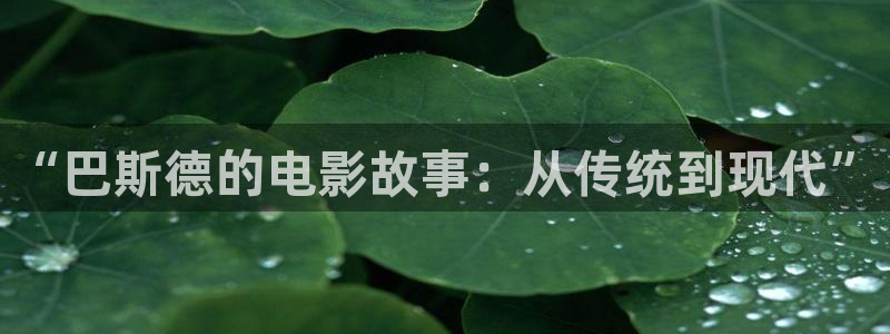 藏西瓜