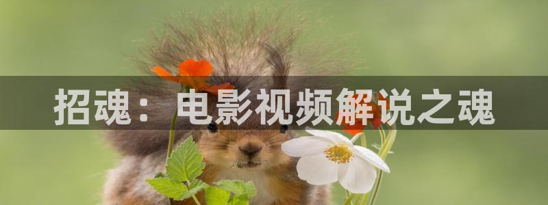 秘密爱西瓜电影