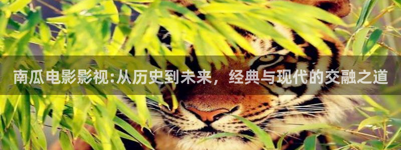 我要下载西瓜视频