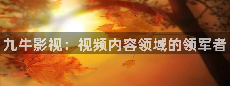 免费西瓜视频