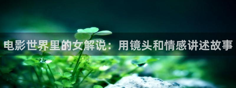 七夜雪电视剧免费观看西瓜影院