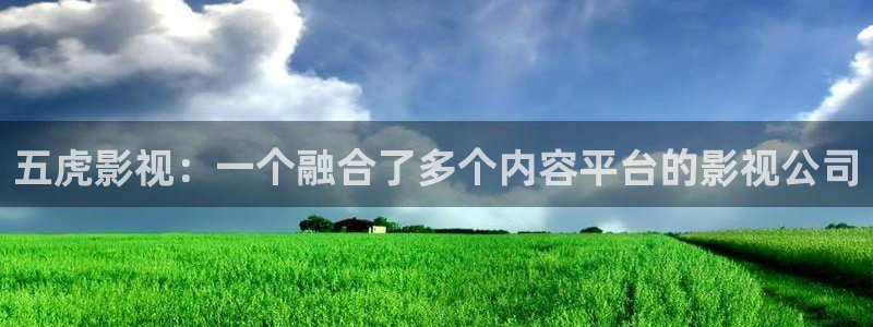 欢乐颂在线观看免费西瓜
