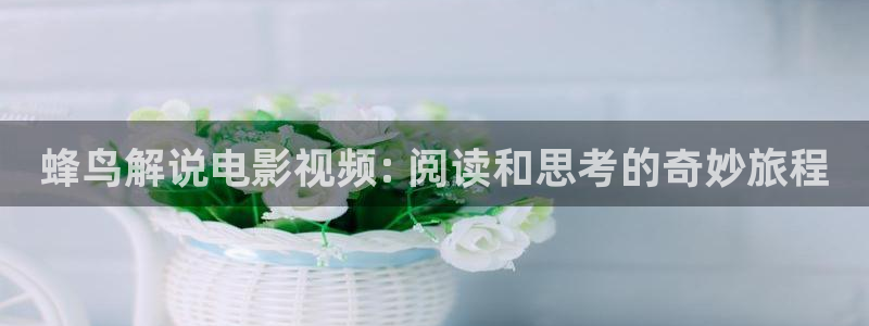 西瓜免费观看在线