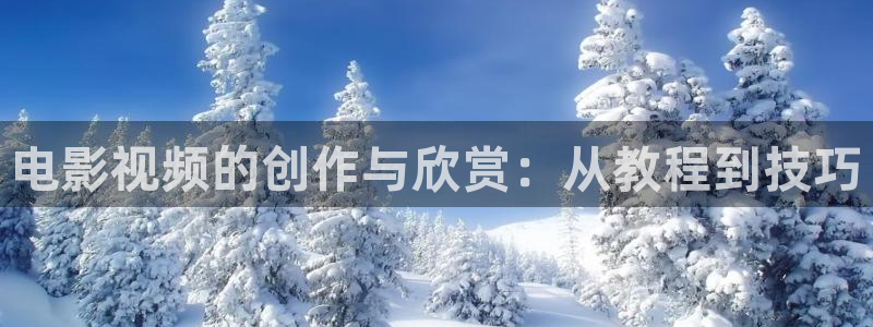 西瓜影院天狼最新电视剧